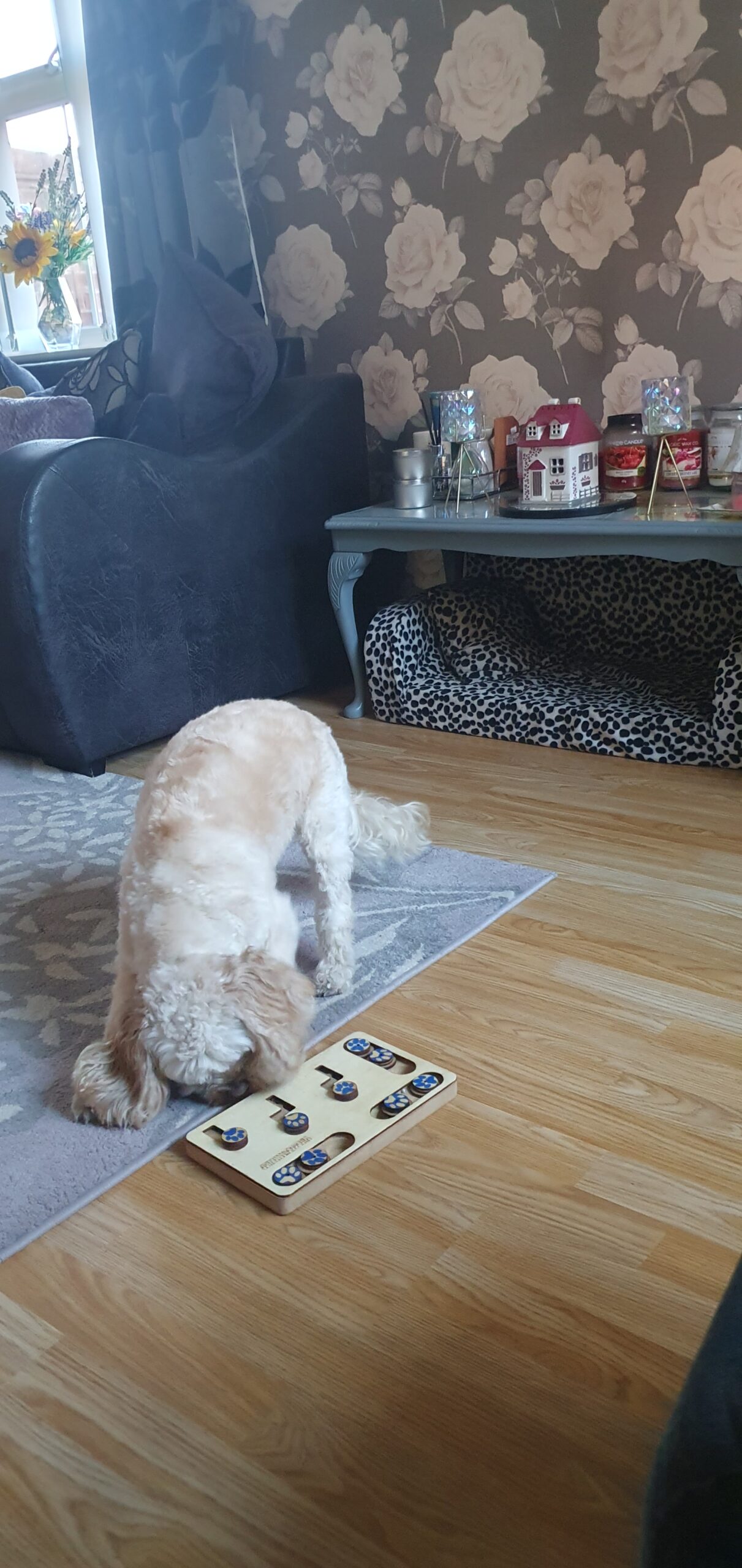 Dog Training Treat Puzzle Zig Zag - Image 3